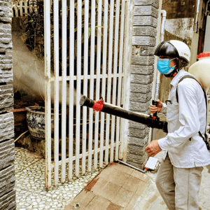 Cảnh giác với năm ‘chu kỳ’ của dịch sốt xuất huyết