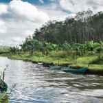 Ngày Môi trường thế giới năm 05/6/2021: Phục hồi Hệ sinh thái