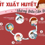 BỆNH SỐT XUẤT HUYẾT