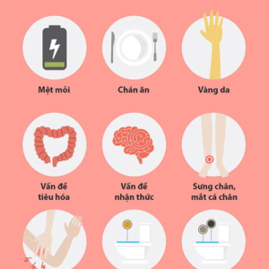 BỆNH XƠ GAN