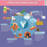 CÁCH GIỮ ẤM VÀ CHỐNG RÉT HIỆU QUẢ TRONG MÙA ĐÔNG LẠNH GIÁ