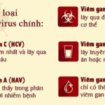 VIÊM GAN VIRUS