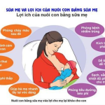 GIÁ TRỊ CỦA NUÔI CON BẰNG SỮA MẸ