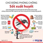PHÒNG BỆNH SỐT XUẤT HUYẾT TRONG ĐẠI DỊCH COVID-19