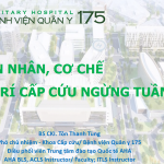 TẬP HUẤN TRỰC TUYẾN HƯỚNG DẪN XỬ TRÍ MỘT SỐ CẤP CỨU THƯỜNG GẶP KHI NGƯỜI DÂN THAM GIA HOẠT ĐỘNG NGOÀI TRỜI (BUỔI 2)