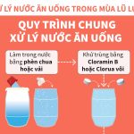 XỬ LÝ NƯỚC VÀ VỆ SINH MÔI TRƯỜNG TRONG MÙA BÃO LỤT