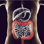 DẤU HIỆU CẢNH BÁO TẮC RUỘT