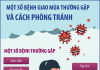 BỆNH GIAO MÙA THƯỜNG GẶP VÀ CÁCH PHÒNG TRÁNH